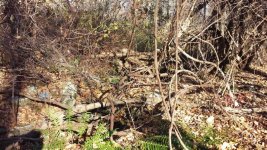 Cellar hole overgrowth.jpg Cellar hole overgrowth.jpg
