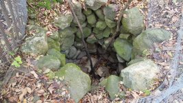 20161115_152436.jpg