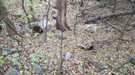 20161115_154838.jpg