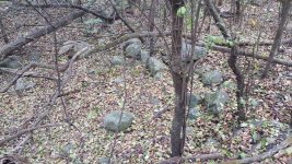 20161115_154852.jpg