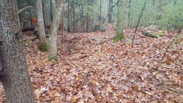 nov site.jpg