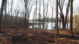 DSCF0288.jpg