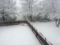 12-04-16 001.jpg