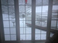 IMG_0364.jpg