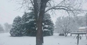 20161204_123117.jpg