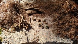 Finds 2.jpg