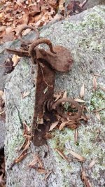 20161126_161701.jpg