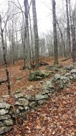 20161203_130032.jpg