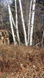 20161210_123713.jpg