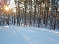 20170108_075437.jpg