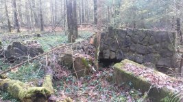 Fallen Chimney.jpg