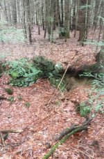 Secondary Cellar 1-21.jpg