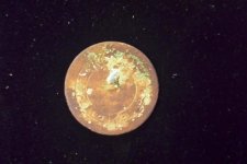 Gilt button.jpg