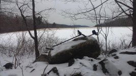 machine on rock field bckgnd.jpg