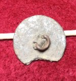 1700 Button 02.jpg
