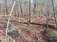 IMG_3513.jpg