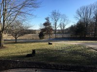 2017-02-09.jpg