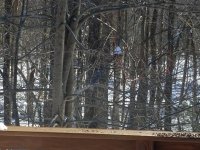 20170213_144339.jpg