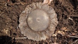 DSCF0339.jpg