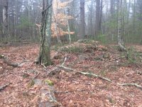 IMG_3760.jpg IMG_3760.jpg