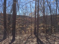 IMG_3950.jpg IMG_3950.jpg