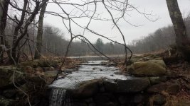 Dammed waterfall.jpg
