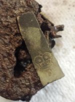 lock cover crown.jpg