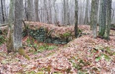 pounded cellar.jpg
