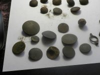 DSCN1631.jpg