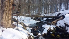 Babbling brook.jpg