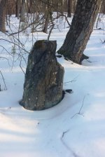 Possible grave.jpg