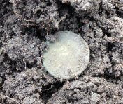 2cent dirt.jpg