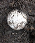 seated dirt.jpg