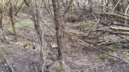 20170404_174624.jpg