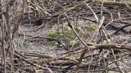 20170404_174642.jpg