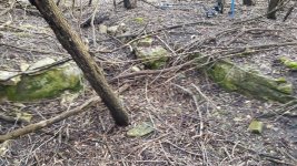 20170404_175711.jpg
