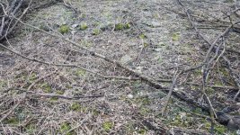 20170404_183024.jpg