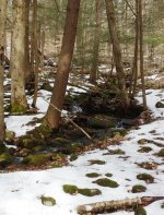 Babbling brook.jpg