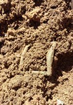 Dug shoe buckle.jpg