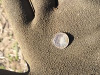 IMG_4099.jpg