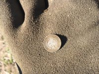 IMG_4100.jpg