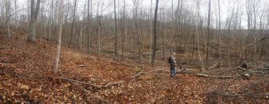 Logging panorama.jpg Logging panorama.jpg