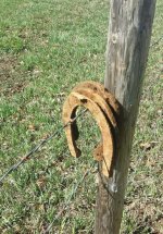 Three horse shoes.jpg Three horse shoes.jpg