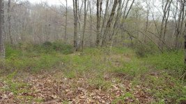 April 29 cellar site.jpg