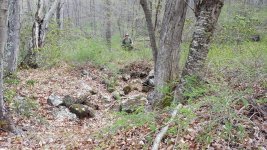 april 29 cellar.jpg