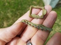 20170508_130838.jpg 20170508_130838.jpg