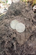2 of 6 coppers.jpg