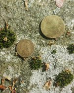 Barber and farthing.jpg Barber and farthing.jpg