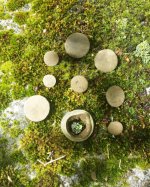 Button assortment.jpg