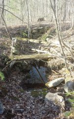 Cellar in the woods..jpg